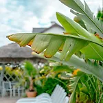 Kwatera prywatna Orbisa Bis Basen Sauna Jacuzzi Rowery Parking W Cenie Pobytu