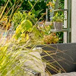 Orbisa Bis Basen Sauna Jacuzzi Rowery Parking W Cenie Pobytu Kwatera prywatna Łeba