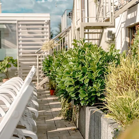 Проживание в семье Orbisa Bis