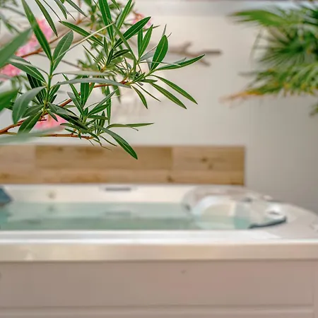 Orbisa Bis W Cenie Basen Podgrzewany Sauna Jacuzzi Rowery Parking Klimatyzacja Opcja Sniadan *