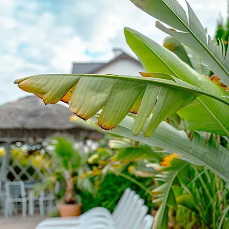 Homestay szállás Orbisa Bis