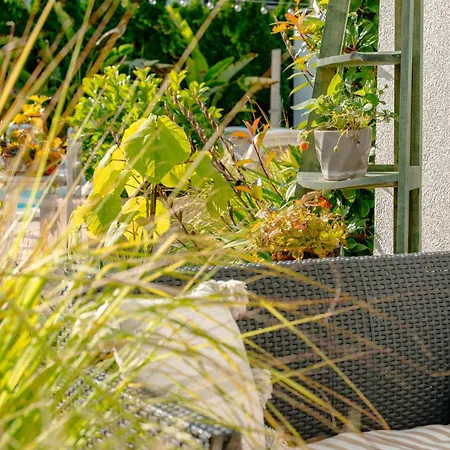 Orbisa Bis Homestay szállás Łeba