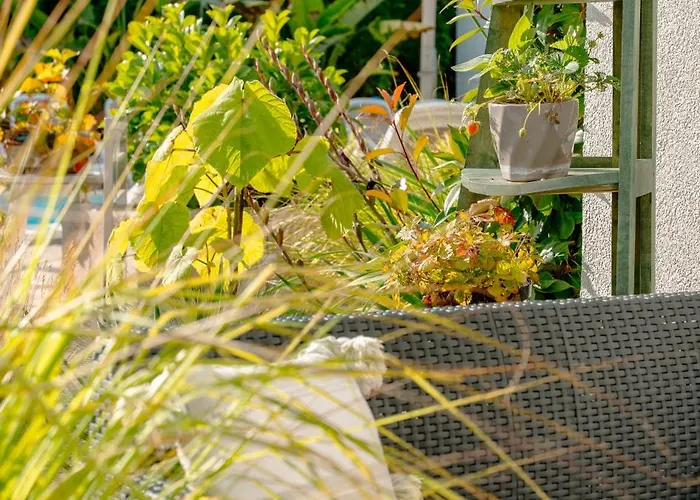 Orbisa Bis 民宿 莱鲍